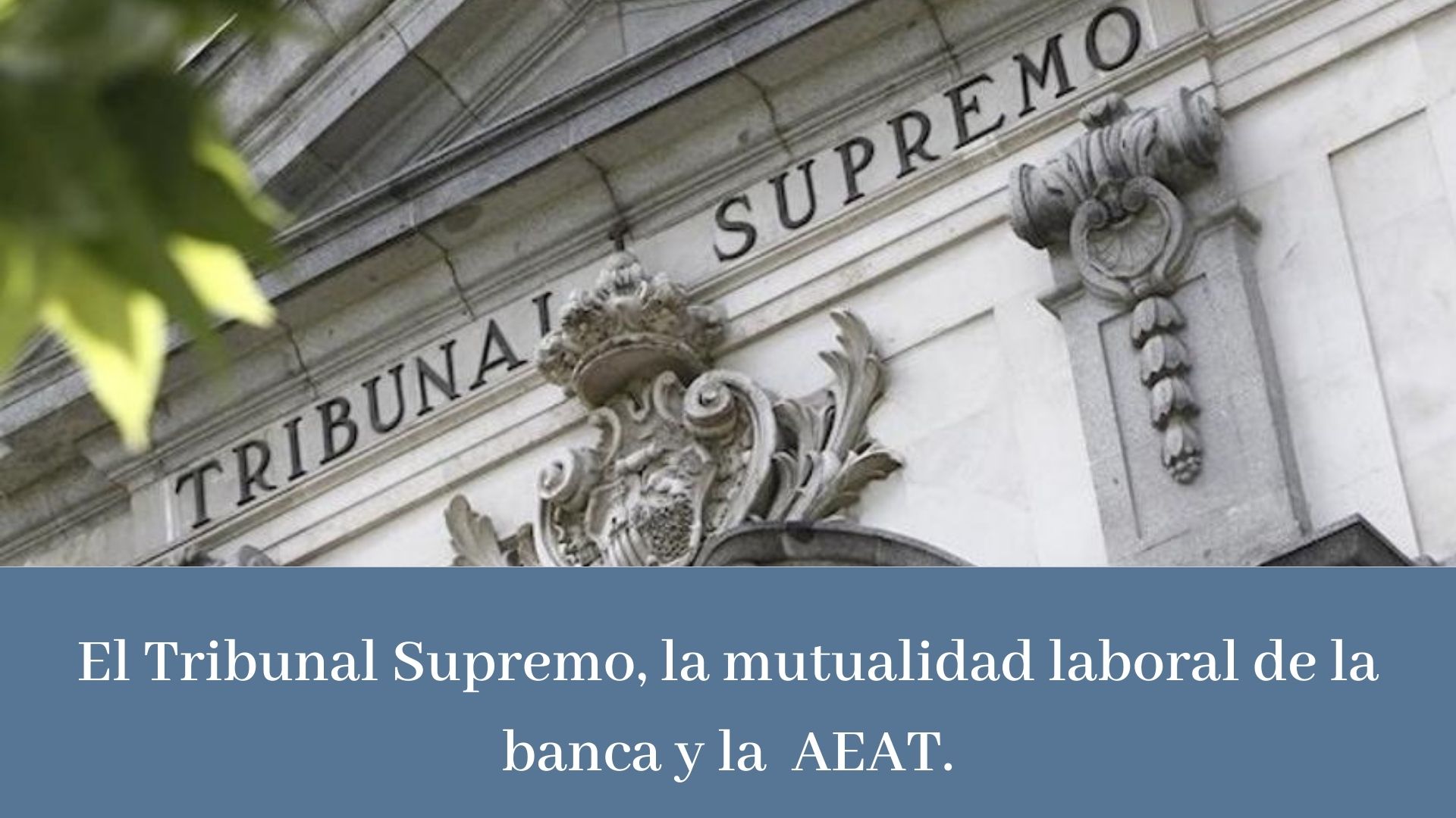 EL TRIBUNAL SUPREMO, LA MUTUALIDAD LABORAL DE BANCA Y LA AEAT. 